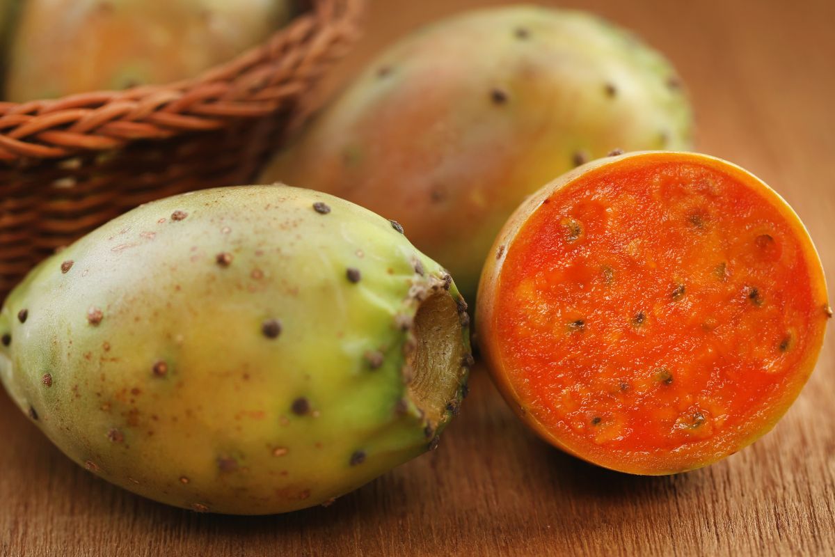 Prickly pear fruits - an essential ingredient for a Prickly Pear Margarita