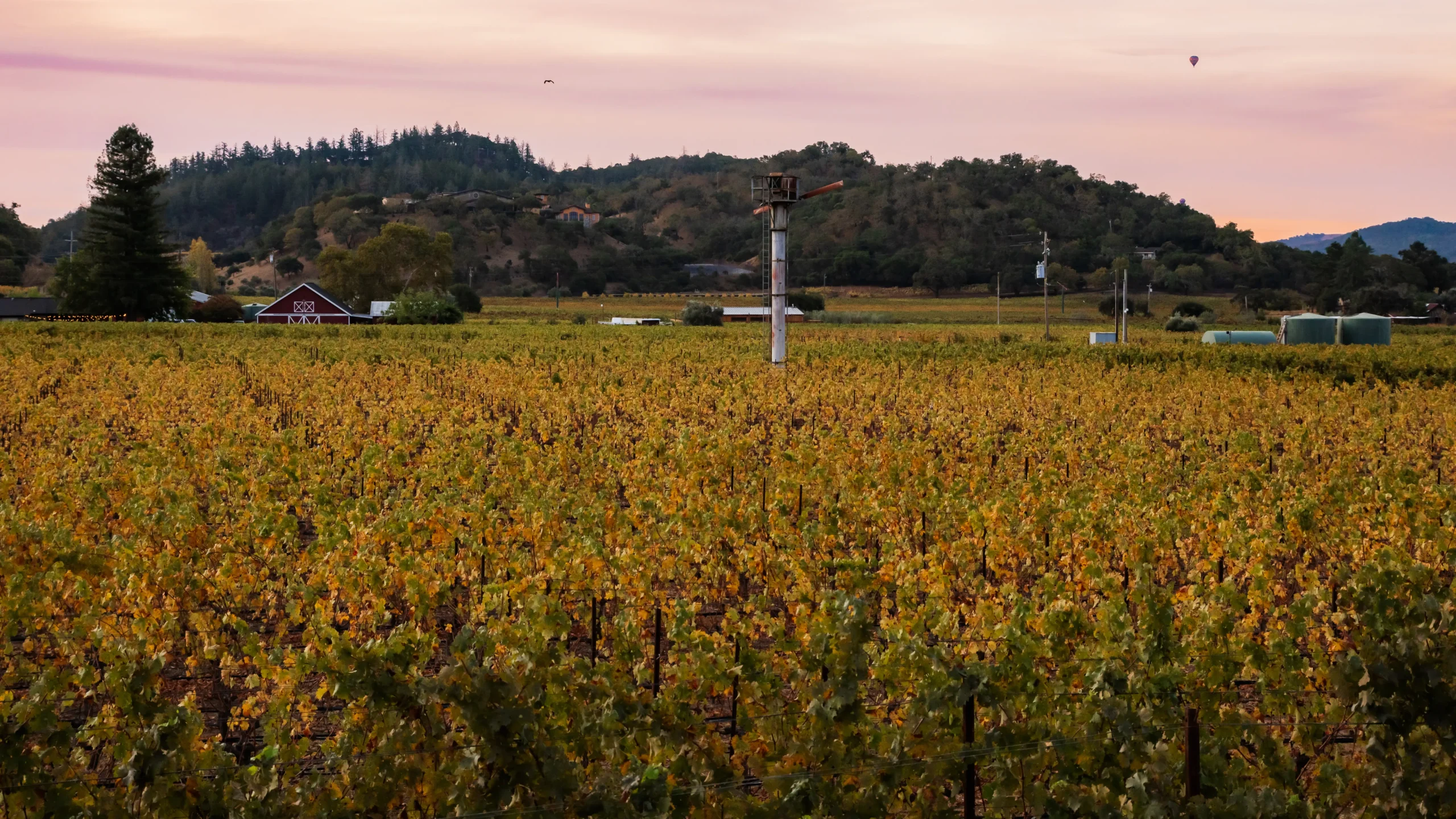 Baldacci Family Vineyards Winery Ranch, Stags Leap District